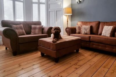 The best cat and dog friendly sofas