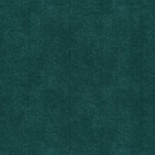 ARTEMISIA-PEACOCK-515