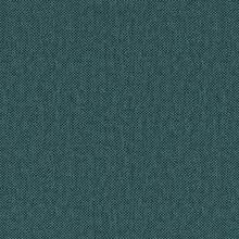 ANEMONE-PEACOCK-515