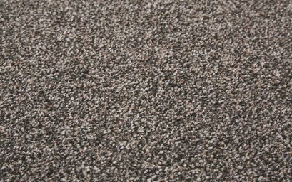 Associated Weavers New Heather Twist Elite Carpet | Carpets | ScS