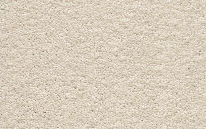 Vivendi Bella Carpet | Carpets | ScS