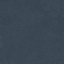 CALLISIA-BLUE-540