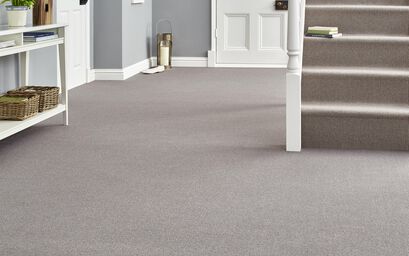 Pimlico Loop Carpet | Carpets | ScS