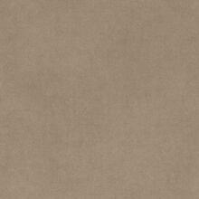 SANTOLINA LIGHT BEIGE 005
