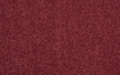 Coral Carpet | Carpets | ScS
