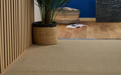 Zeus Carpet | Carpets | ScS
