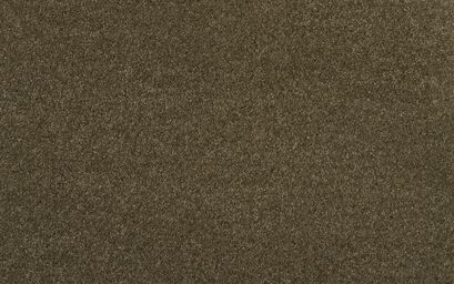 Oracle Elite Carpet | Carpets | ScS