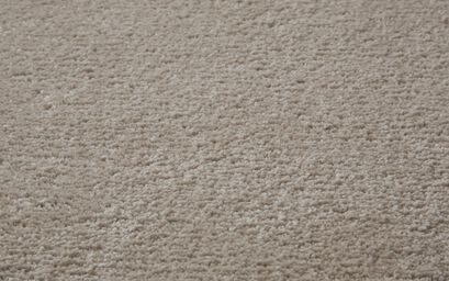 Invictus Perfecta Carpet | Carpets | ScS