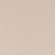 ANEMONE-WHITE-003