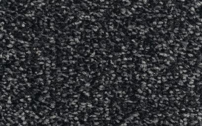 Harbour Saxony Carpet | Carpets & Flooring | ScS
