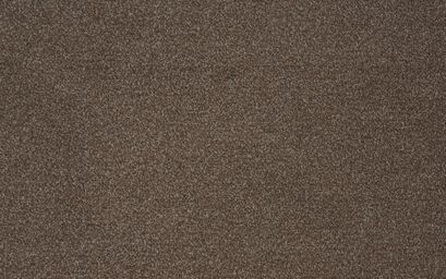 Apollo Twist Carpet | Carpets & Flooring | ScS