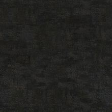 ERANTHIS BLACK 910