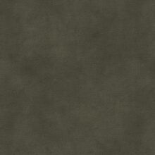 CAMEDRIA-GREEN-610
