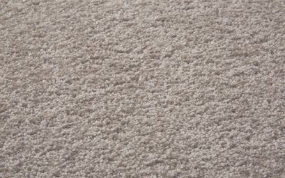Associated Weavers Proxima Carpet | Carpets & Flooring | ScS