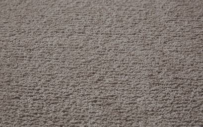 Invictus Perfecta Carpet | Carpets | ScS