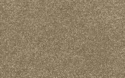 Hampshire Twist Carpet | Carpets & Flooring | ScS