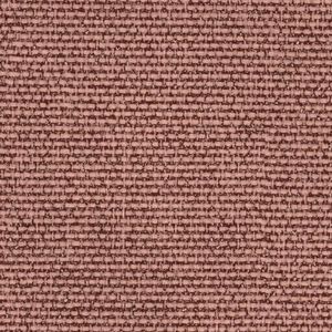 CALLISIA-PINK-495
