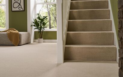 Ithaca Elite Carpet | Carpets & Flooring | ScS