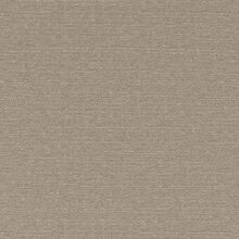 CLUSIA BEIGE 025