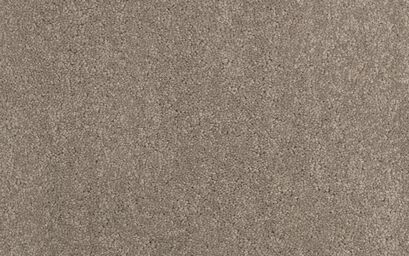 Reef Carpet | Carpets & Flooring | ScS