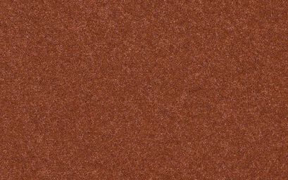 Cheviot Twist Carpet | Carpets & Flooring | ScS