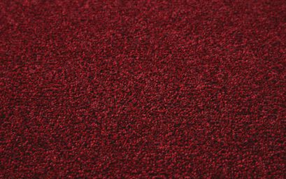Empress Carpet | Carpets | ScS