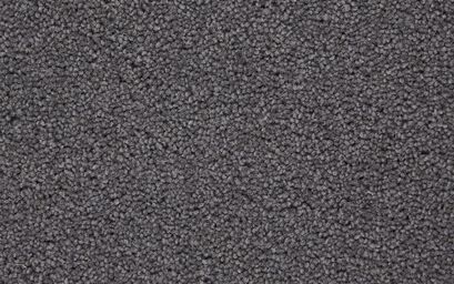 Cheshire Twist Carpet | Carpets & Flooring | ScS