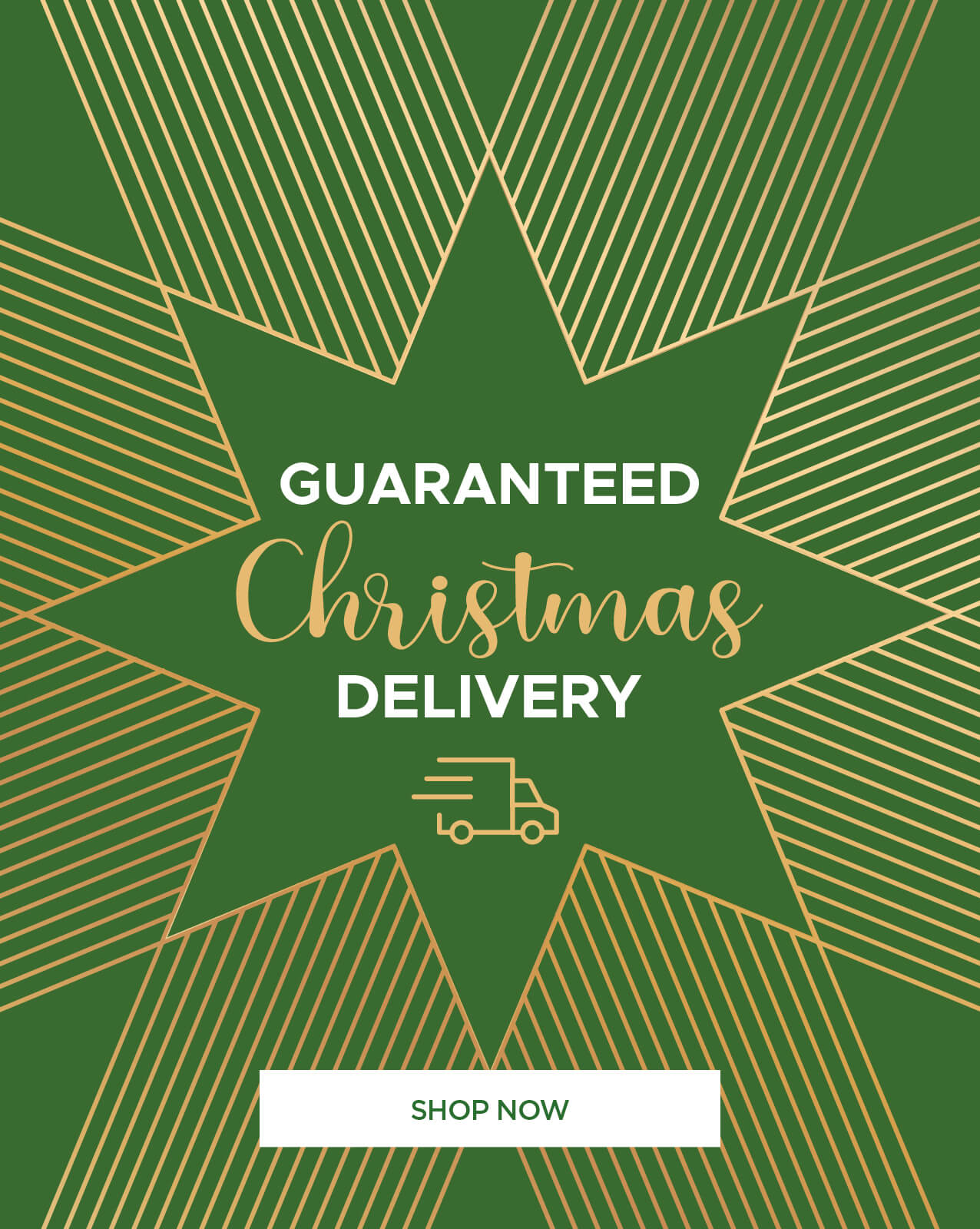 Guaranteed Christmas Delivery