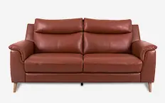 Shop leather sofa sale